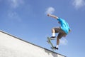 Teenage Boy In Skateboard Park