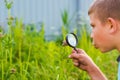 Boy with a magnifying glass Royalty Free Stock Photo