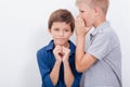 Teenage boy whispering in the ear a secret to Royalty Free Stock Photo