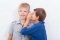 Teenage boy whispering in the ear a secret to Royalty Free Stock Photo