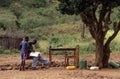 Teenage boys studying outdoors, Mozambique