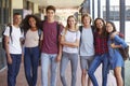Teenage classmates standing in high school hallway Royalty Free Stock Photo