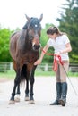 Teenage equestrian girl checking for injury of bay horse leg Royalty Free Stock Photo