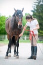 Teenage equestrian girl checking for injury of chestnut horse le Royalty Free Stock Photo