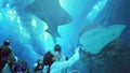 Teenage girl with Dad admire the marine life in the glass tunnel of the Aquarium in Dubai Mall