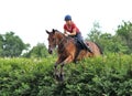 teenage girl equestrian jumping with chestnut horse