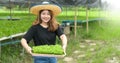 A teenage girl farmer shows a tray of vegetable seedlings in a greenhouse