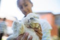 Teenage girl holding cute furry rabbit