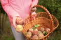 Teenage girl holding peaches and a wicker basket in her hands. Summer and harvest concept. selective focus and blur Royalty Free Stock Photo