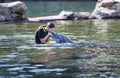 Teenage girl kissing a dolphin in an ocean lagoon Royalty Free Stock Photo