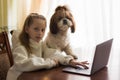 Teenage girl girl with pet dog doing homework using computer sitting by desk in room. Cozy workplace, online education, E-learning Royalty Free Stock Photo