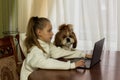 Teenage girl girl with pet dog doing homework using computer sitting by desk in room. Cozy workplace, online education, E-learning Royalty Free Stock Photo