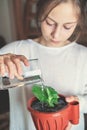 A teenage girl pours a home flower with water from a glass. Royalty Free Stock Photo