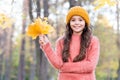 Teenage girl relax in park. fall season beauty. enjoy day in forest. kid arranging yellow maple leaves. autumn knitted Royalty Free Stock Photo