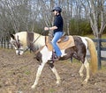 Teenage Girl Riding Horse Royalty Free Stock Photo