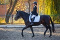 Teenage girl riding horse on equestrian dressage test in autumn Royalty Free Stock Photo