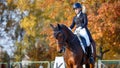 Teenage girl riding horse on equestrian dressage test in autumn Royalty Free Stock Photo