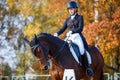 Teenage girl riding horse on equestrian dressage test in autumn Royalty Free Stock Photo