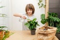 A teenage girl sprays home flowers from a spray bottle at home. House plant care. Hobby for a teenager