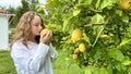 a teenage girl is standing near a lemon tree she is holding a lemon in her hands she is sniffing it she is going to make Royalty Free Stock Photo