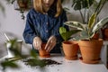 Teenage girl stands near table and rams the earth in pot with her hands. Plant transplant process