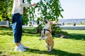 Teenage girl teasing her little dog while playing with it