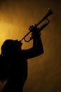 Teenage Girl Trumpet Player In Silhouette Royalty Free Stock Photo