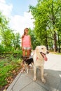 Teenage girl walk dogs in park Royalty Free Stock Photo