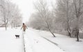 Teenage girl walking the dog in winter Royalty Free Stock Photo