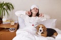 A teenage girl woke up, sitting on the bed under a blanket, stretching. A beagle dog is nearby. Royalty Free Stock Photo