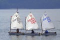 Teenage girls sailing boats race Royalty Free Stock Photo