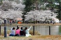 Teenage girls take selfies and enjoy the beautiful scenery of cherry blossom trees by the lake in Omiya Park, Saitama, Japan