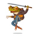 Teenage ninja frog, isolated vector illustration. Brave humanized frog