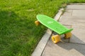 Teenage skateboard on gray paving stones and green grass