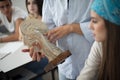 Teenage students on biology class. Focus is on background Royalty Free Stock Photo