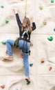 Teenage teen girl grabbing artificial high climbing wall with split ledges. Climbing harness safety sports equipment Royalty Free Stock Photo