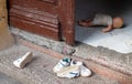 Teenage used shoes outside the back door entrance of a house