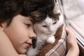 Teenager boy and cat in cozy cat bed nest sleeping on the weekend morning Royalty Free Stock Photo