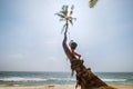 Teenager boy climbing a palm tree for swinging on the beach swing. Sri Lanka island exotic vacation concept image