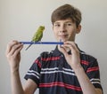 Teenager boy with a green budgerigar