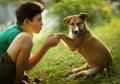 Teenager boy hug puppy shepherd dog close up photo