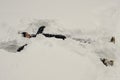 Teenager boy lies in deep snow under a heavy snowfall