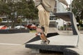 Teenager boy in a skate park, outdoor portrait. adolesence concept, teen culture Royalty Free Stock Photo