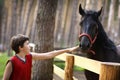 Teenager boy stroke black horse with halter close up summer photo