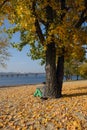 A teenager boy of a white race sits on yellow leaves under a tree against the background of a river and a bridge