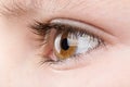 Teenager eye macro Royalty Free Stock Photo