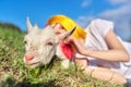 Teenager girl with a little white goat on the lawn, animal muzzle close up Royalty Free Stock Photo