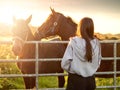 Teenager girl looking at dark horses by a metal gate to a field at stunning sunset. Warm sunshine glow. Selective focus. Light and
