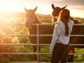 Teenager girl looking at dark horses by a metal gate to a field at stunning sunset. Warm sunshine glow. Selective focus. Light and