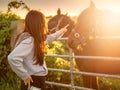 Teenager girl looking at dark horses by a metal gate to a field at stunning sunset. Warm sunshine glow. Selective focus. Light and